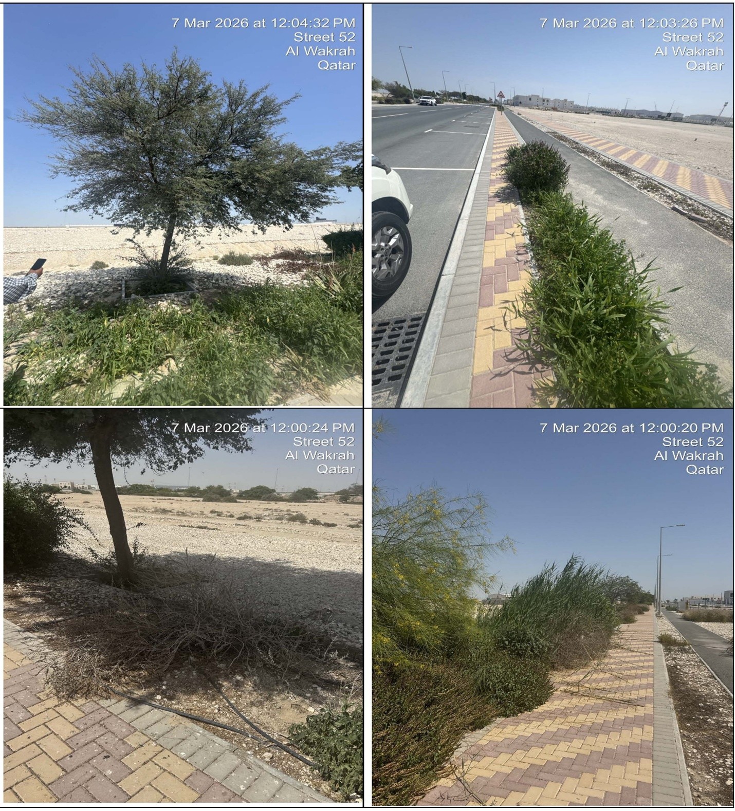 MANATEQ Landscape Maintenance and Irrigation Services Contract